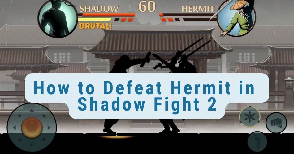 how to defeat hermit in shadow fight 2