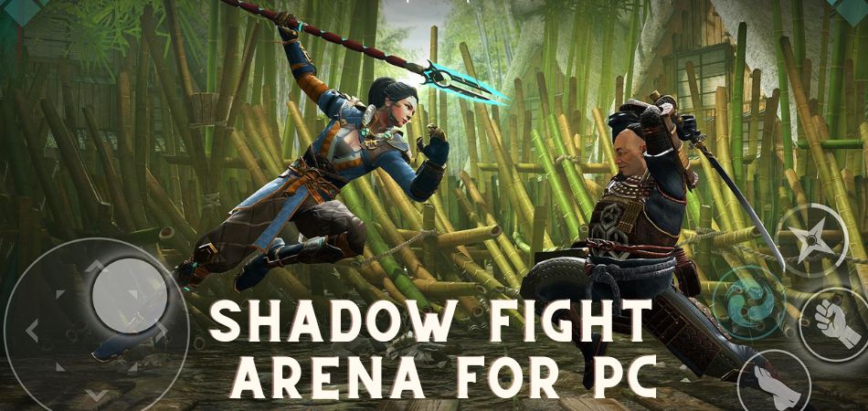 shadow fight arena for pc